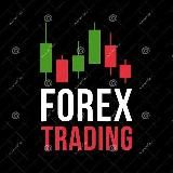 Forex Trading investment Expert