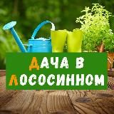 Дача в Лососинном