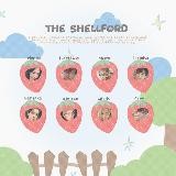 The Shellford: Comical Family!