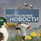 Натуральные новости🌿🌳🍃