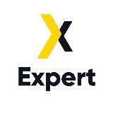 Expert