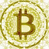 The Blockchain INFO
