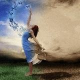 EXPERTE_0815_IMPULSE