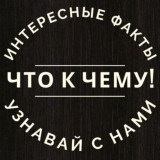 Что к Чему. Факты, которые Вы еще не знали.