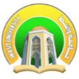 جامعه واسط