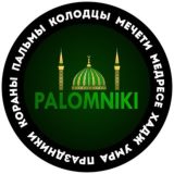 Отчёты: "Palomniki"