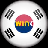 🇰🇷WINk🇰🇷