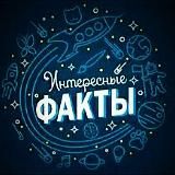 Интересные Факты💥