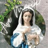 ¡AVE MARÍA! 🌷🕊✨ Evangelio, Oraciones y Devociones 🙏🏻 Cadena de Rosarios ✨®️