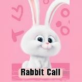 🐰RABBIT CALLS🐰