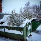 ПОМОЙКА 🗑 Сучье поместье