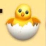 Цыплята 🐣