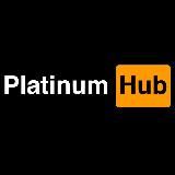 PlatinumHub