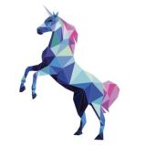 Tokenized Pre-IPO shares
