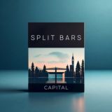 SPLIT BARS CAPITAL • Инвестиции • Трейдинг