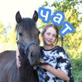 ЧАТ 🐴 Катерина Катюшкина