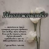 ･︎･︎ Многоженство ･︎･︎