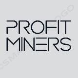 Profit Miners - сервис и оборудование для майнинга