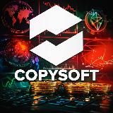 CopySoft зарабатывай с лучшей программой в мире