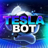 TESLA BOT