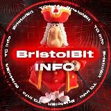 BristolBit [INFO]