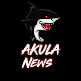 AKULA NEWS MMA