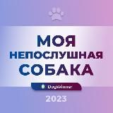 DogWinner -вебинары Татьяны Шамановой (осень 2023)