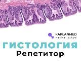 Гистология | Патан | Патфиз | Репетитор