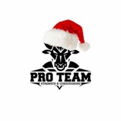 PRO TEAM PUBG