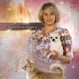 Питомник Niffon Aleksin's Чихуахуа, сиба ину