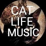 Cat_life_music_сhanel🎧