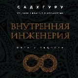 Внутренняя инженерия