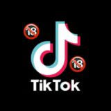 TipicalTikTok18