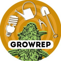 Grow reports