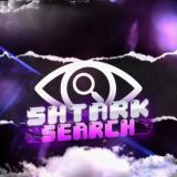 ShtarkSearch - проверки