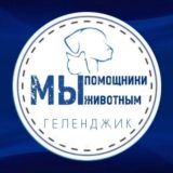 🇷🇺 МЫ ПОМОЩНИКИ ЖИВОТНЫМ 🐾 ANIMALS GELEN • ВОЛОНТЕРСКИЙ ЧАТ ГОРОДА • Геленджик