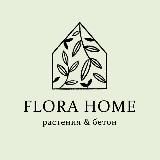 Flora Home - комнатные растения и кашпо