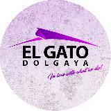EL GATO D.C. DOLGAYA | НОВОСТИ