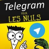 Assistance Telegram | Aide, astuce, conseil...