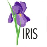 IRIS. штучно. retail.