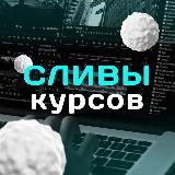 ‼️ СЛИВЫ КУРСОВ ‼️