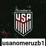 USA Nomer N1