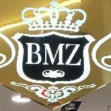 BMZ_AX