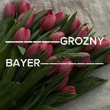 Grozny -Bayer