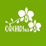 Orchidsale - орхидеи в Ташкенте