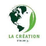 LA CRÉATION D'ALLAH ﷻ