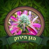 קהילה🌐ראשית צדק👥חברתי-👨‍🌾הגן🌱הירוק👨‍🌾(ללא⛔פירסום)