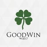 GoodWin в госзакупках | Блог Дмитрия Сидаева