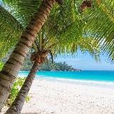 Инвестиции в Недвижимость в г.Сочи и Крым