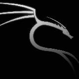 Kali Linux